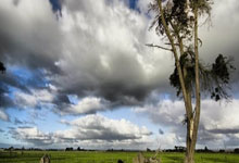 瓦朗谢纳客场告捷，冲刺法甲前四