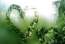 新老球员联手集体进攻力挽狂澜